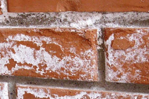 ​Снятие соляных высолов с фасада